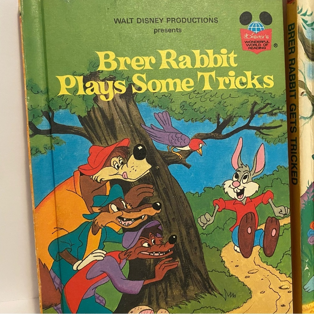 Disney Brer Rabbit Wonderful World of Reading Hardcover Books Splash Mountain - Picture 2 of 8